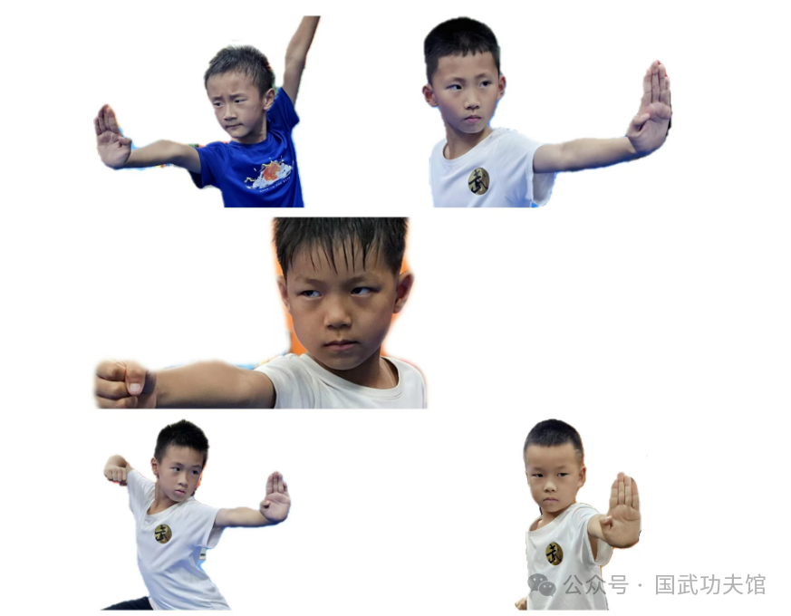 【陽(yáng)光體育】武術(shù)教育不是消費(fèi)，而是投資：十年沉淀，一生財(cái)富