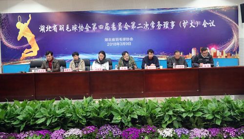 省羽協常務理事會議在武漢體育中心召開</br>趙蕓蕾韓愛萍參加會議(圖1)