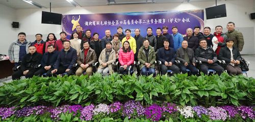 省羽協常務理事會議在武漢體育中心召開</br>趙蕓蕾韓愛萍參加會議(圖7)